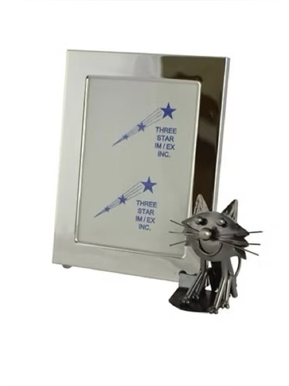 NWT Silver cat frame